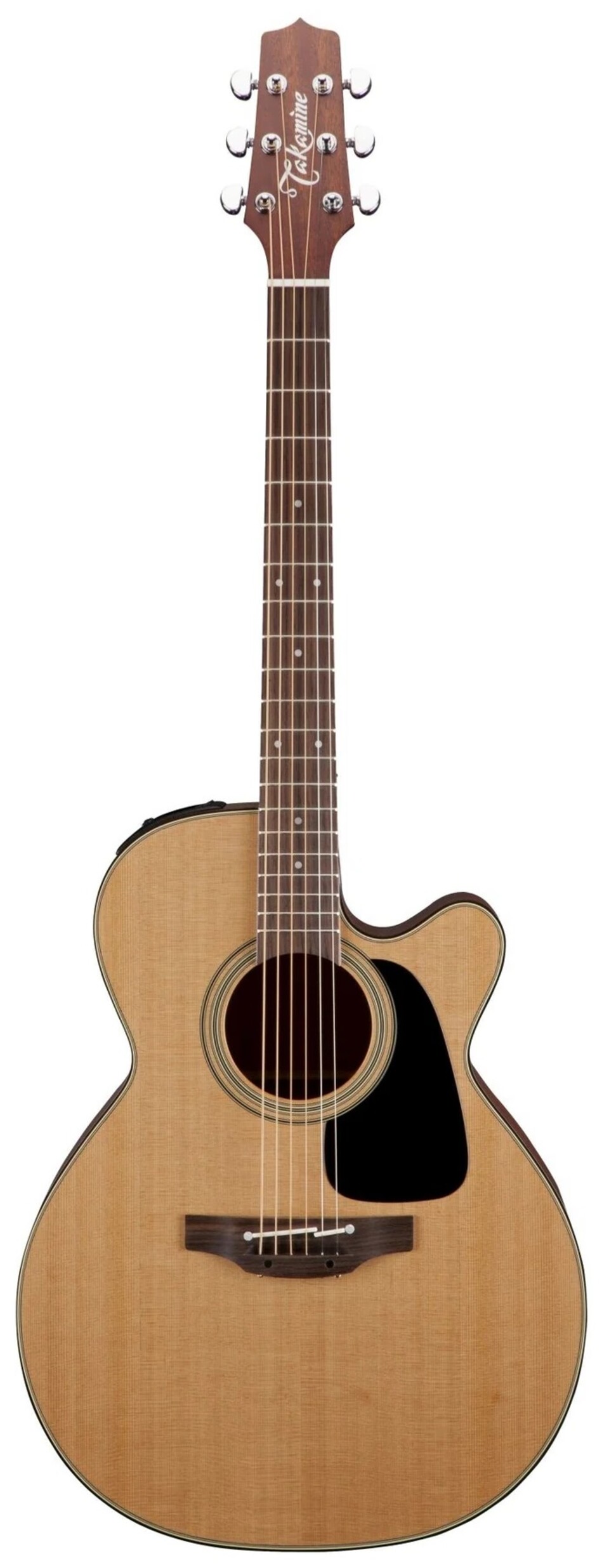 TAKAMINE P1NC