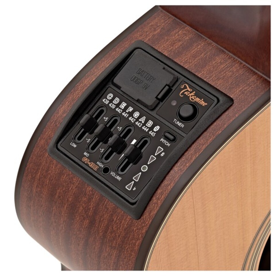 TAKAMINE P1NC