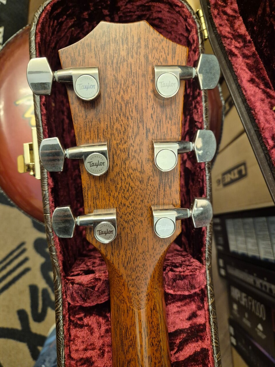 TAYLOR 717E GRAND PACIFIC BUILDER'S EDITION V-CLASS BRACING
