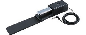 ROLAND DP10