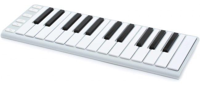CME XKEY 25