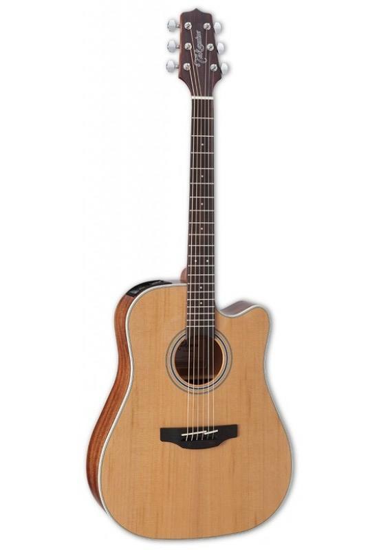 TAKAMINE GD20CE NS