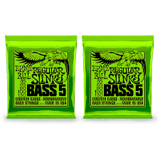 ERNIE BALL 2836 REGULAR SLINKY 5 CONFEZIONE 2 MUTE