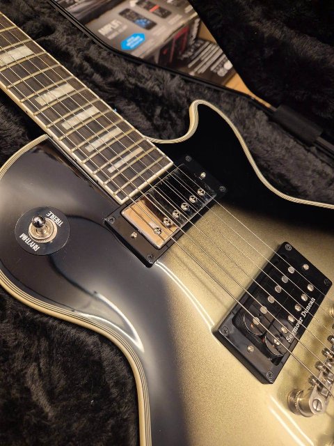 EPIPHONE ADAM JONES LES PAUL CUSTOM ART COLLECTION JULIE HEFFERNAN'S