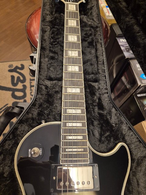 EPIPHONE ADAM JONES LES PAUL CUSTOM ART COLLECTION JULIE HEFFERNAN'S