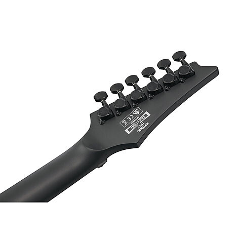 IBANEZ XPTB620 BLACK FLAT