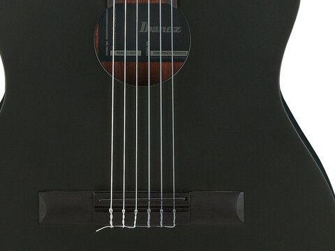 IBANEZ GA621 BOT