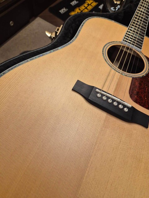 HARLEY BENTON CLD41SE CON CUSTODIA RIGIDA