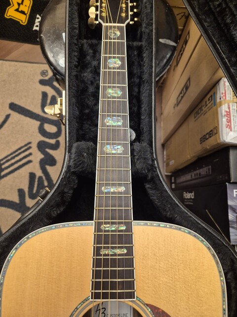 HARLEY BENTON CLD41SE CON CUSTODIA RIGIDA