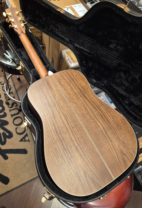 HARLEY BENTON CLD41SE CON CUSTODIA RIGIDA