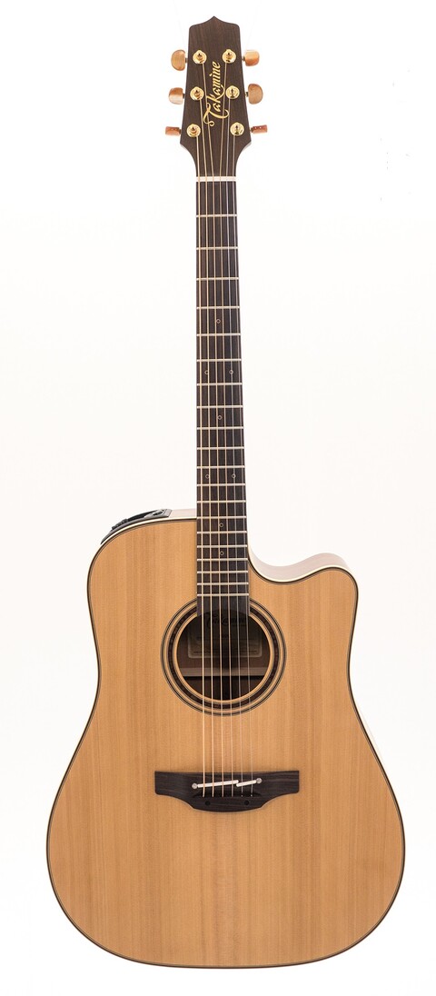 TAKAMINE P3DC