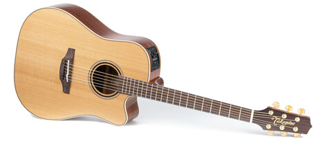 TAKAMINE P3DC