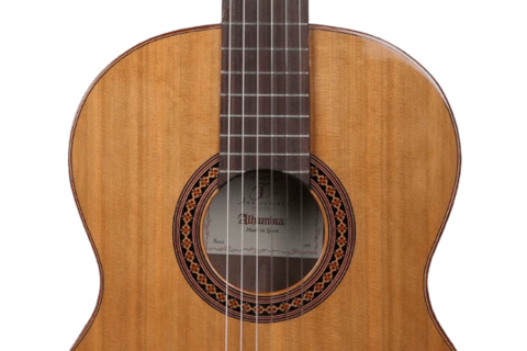 ALHAMBRA IBERIA ZIRICOTE CON GIG BAG