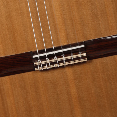 ALHAMBRA IBERIA ZIRICOTE CON GIG BAG