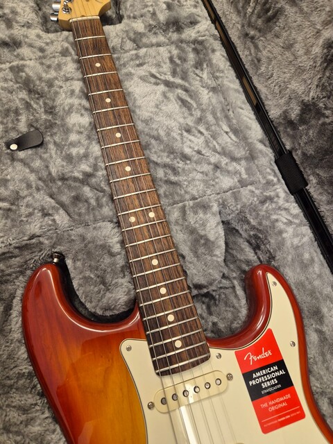 FENDER AMERICAN PROFESSIONAL STRATOCASTER RW SIENNA SUNBURST