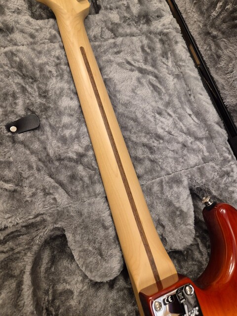 FENDER AMERICAN PROFESSIONAL STRATOCASTER RW SIENNA SUNBURST