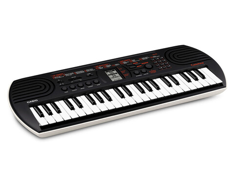 CASIO SA81