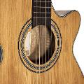 TAKAMINE GSF1CE NATURAL
