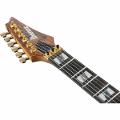 IBANEZ RGT1220PB ABS ANTIQUE BROWN STAINED