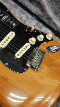 FENDER AMERICAN PROFESSIONAL II STRATOCASTER RW ROASTED PINE