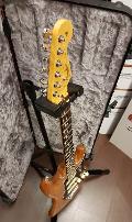 FENDER AMERICAN PROFESSIONAL II STRATOCASTER RW ROASTED PINE