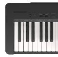 YAMAHA P145 + CASHBACK DI 50 EURO