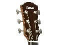 YAMAHA AC5R ARE VINTAGE NATURAL