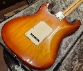 FENDER AMERICAN PROFESSIONAL STRATOCASTER RW SIENNA SUNBURST