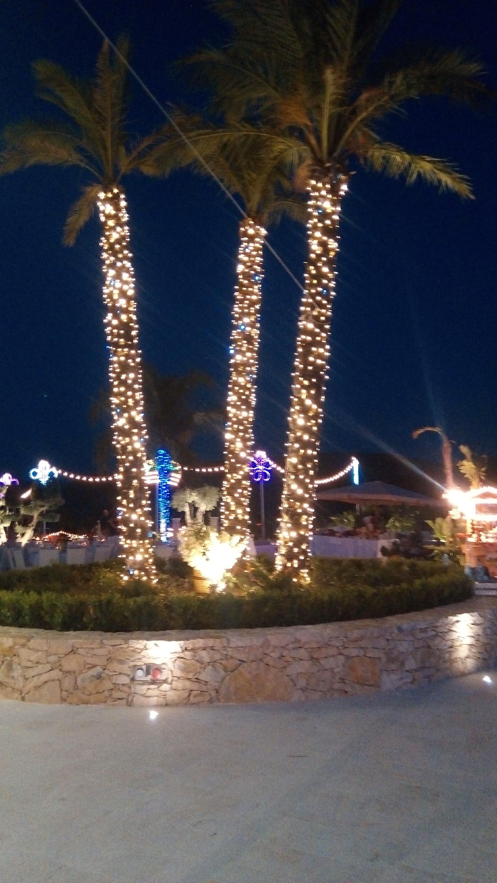 Addobbi viale Filari luminosi Lampade a Led