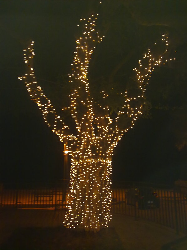luminarie altavilla milicia
