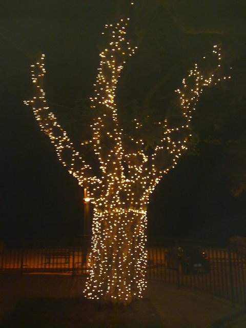 luminarie altavilla milicia