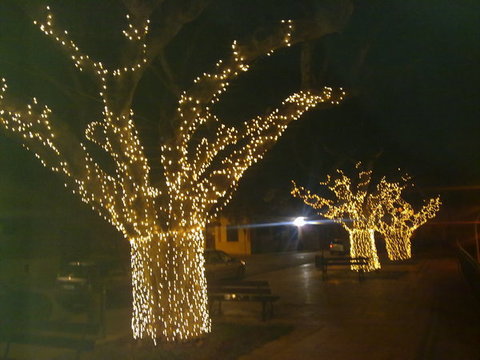 luminarie altavilla milicia