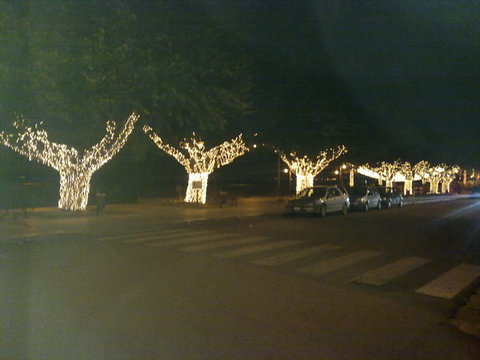 luminarie altavilla milicia
