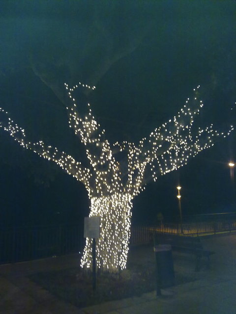 luminarie altavilla milicia