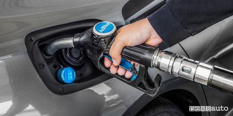 AD BLUE PER AUTO DIESEL  20 €