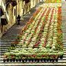 The flowered scala in centro storico Caltagirone B&B Sicily 3200773315