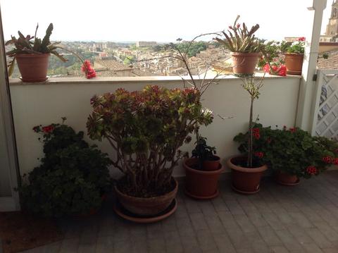 Camere con terrazzo panoramico B&B a Caltagirone 3200773315