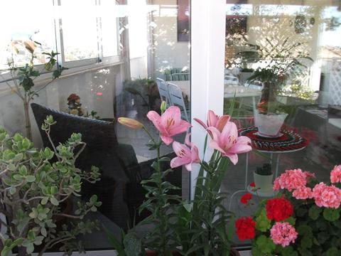 b&b escursione bosco di Santo Pietro  Caltagirone 3200773315