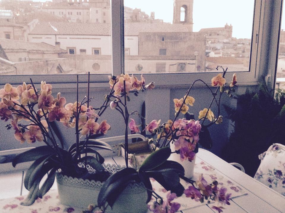 Casa vacanza  Attico da Rosa bed and breakfast 3200773315 Caltagirone