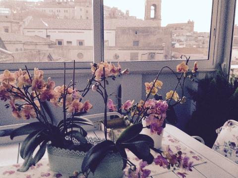 Casa vacanza  Attico da Rosa 3200773315 Caltagirone