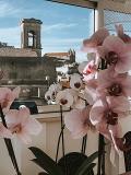 Casa vacanza panoramica Attico da rosa   3200773315 Caltagirone