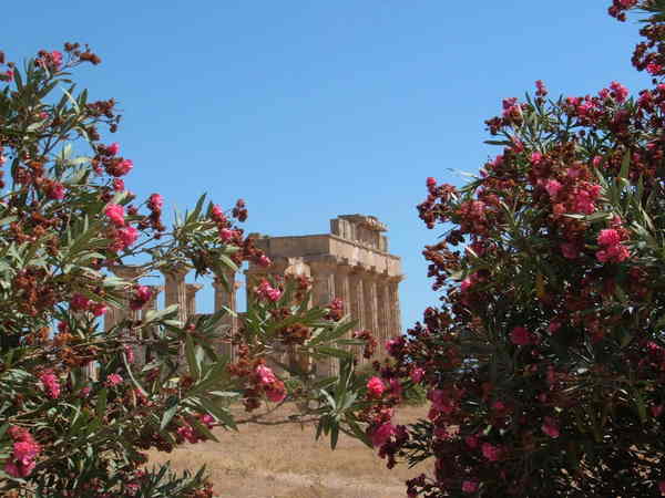 SICILIA TRA “CULTURA ED ENOGASTRONOMIA”