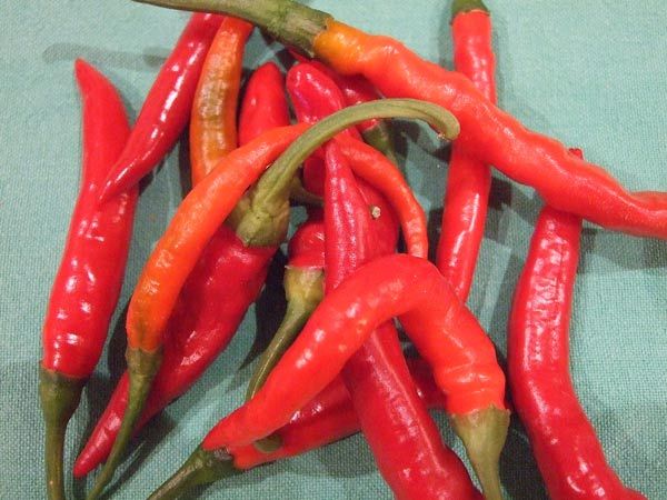 SPECIALE GIUGNO PACCHETTO BENESSERE IN CALABRIA