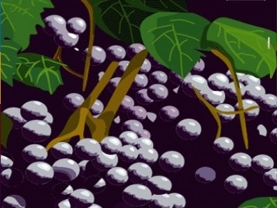 LA FILIERA DEL VINO