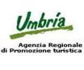 PATROCINIO REGIONE UMBRIA