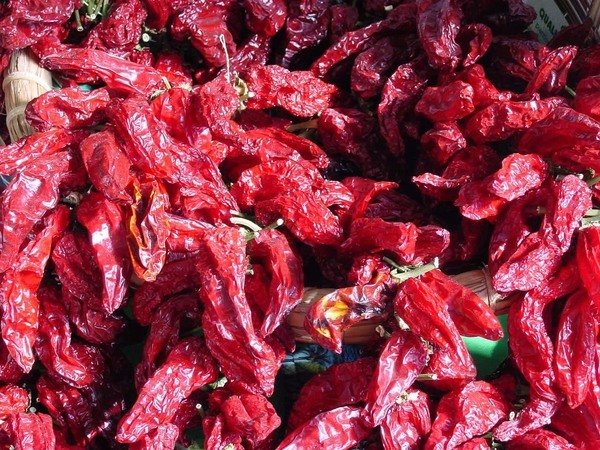 Appunti e Curiosità