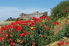 Guida turistica