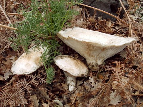 TREKKING SICILIA 3 giorni 2 notti
