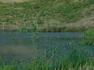 OFFERTA LANCIO        TURISMO RURALE IN 4 x 4                   SICILIA
