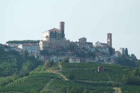 LA FILIERA DEL VINO